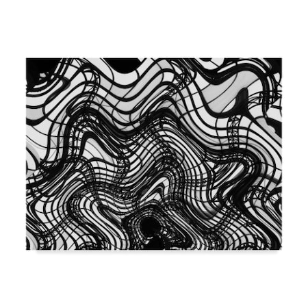 American School 'Black And White Ceiling Wavy' Canvas Art,18x24